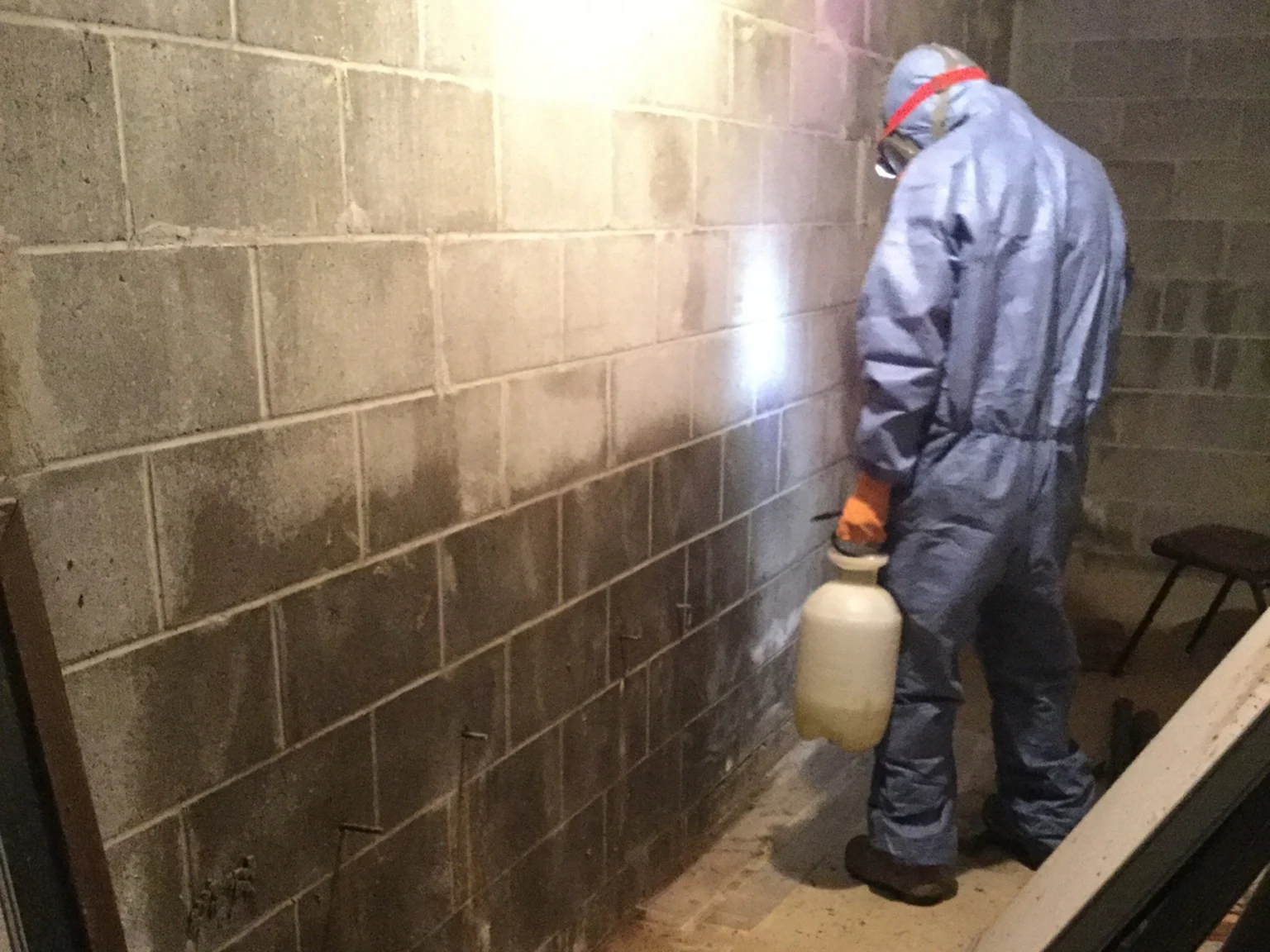 cut-n-dry-michigan-mold-remediation-3-RESIZED