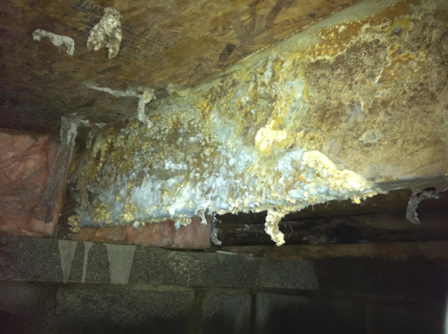 Mold Remediation